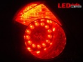 ELANTRA_LED_TAIL_02