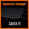   3D SPORTS PLATE  SANTA FE CM 2007