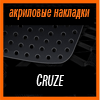   3D SPORTS PLATE  CRUZE 2008