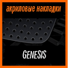   3D SPORTS PLATE  GENESIS 2009